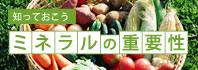 知っておこう！ミネラルの重要性