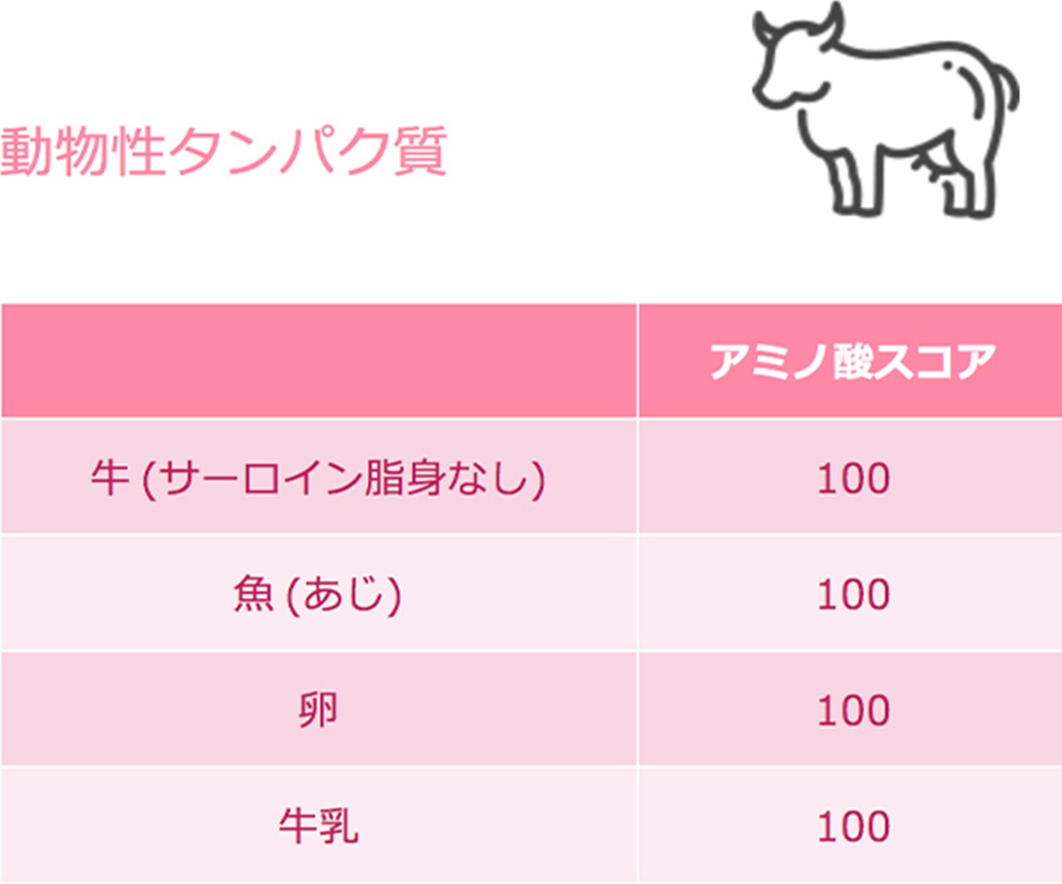 動物性タンパク質