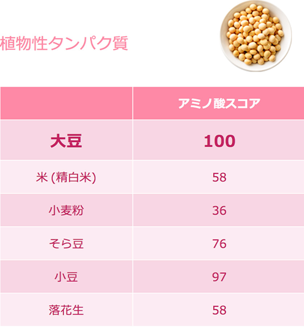 植物性タンパク質