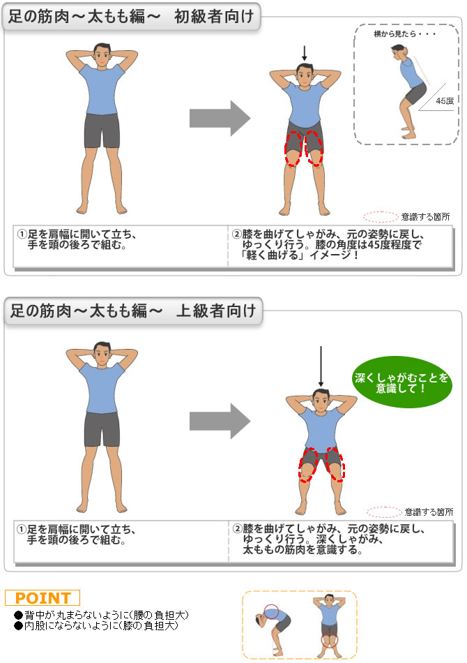 足の筋肉～太もも編～