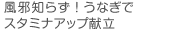 風邪知らず！うなぎでスタミナアップ献立