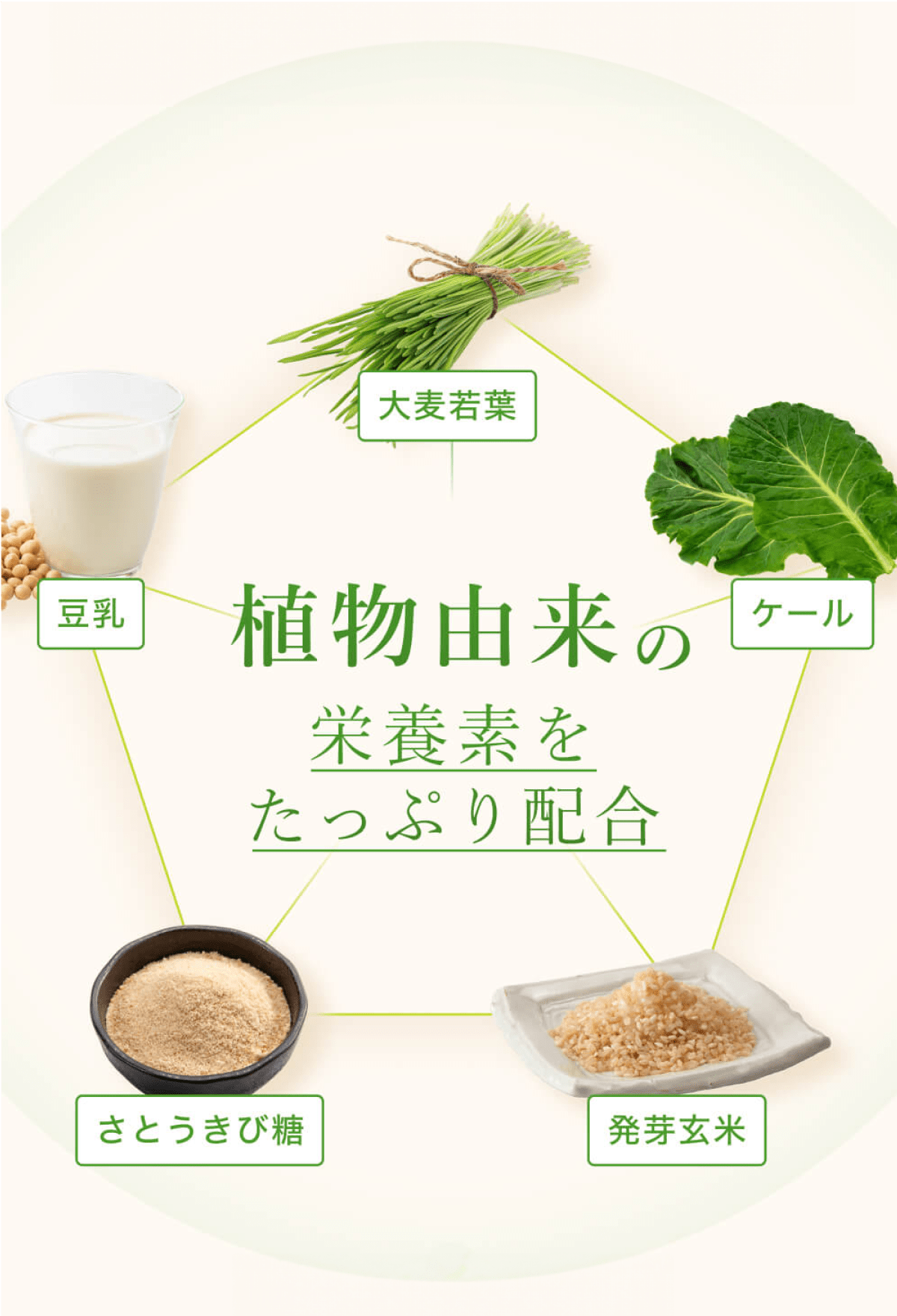 植物由来の栄養素をたっぷり配合