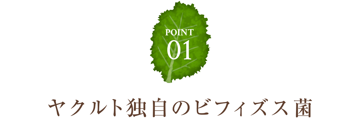 POINT01：ヤクルト独自のビフィズス菌