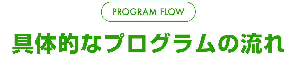 PROGRAM FLOW 具体的なプログラムの流れ